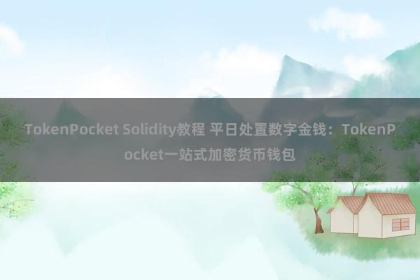 TokenPocket Solidity教程 平日处置数字金钱：TokenPocket一站式加密货币钱包