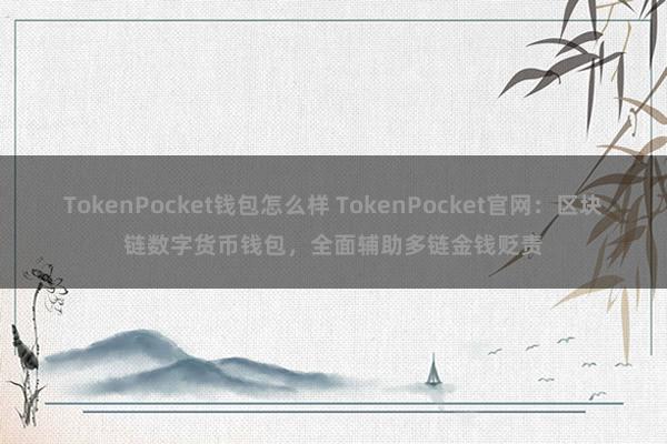 TokenPocket钱包怎么样 TokenPocket官网：区块链数字货币钱包，全面辅助多链金钱贬责