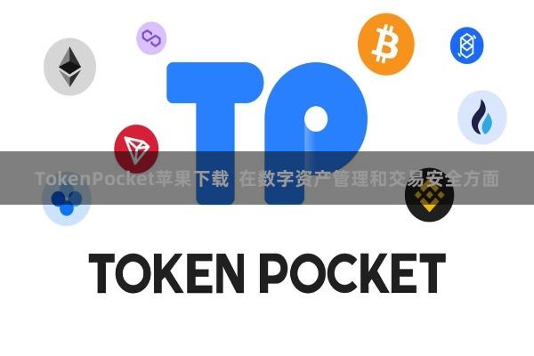 TokenPocket苹果下载  在数字资产管理和交易安全方面